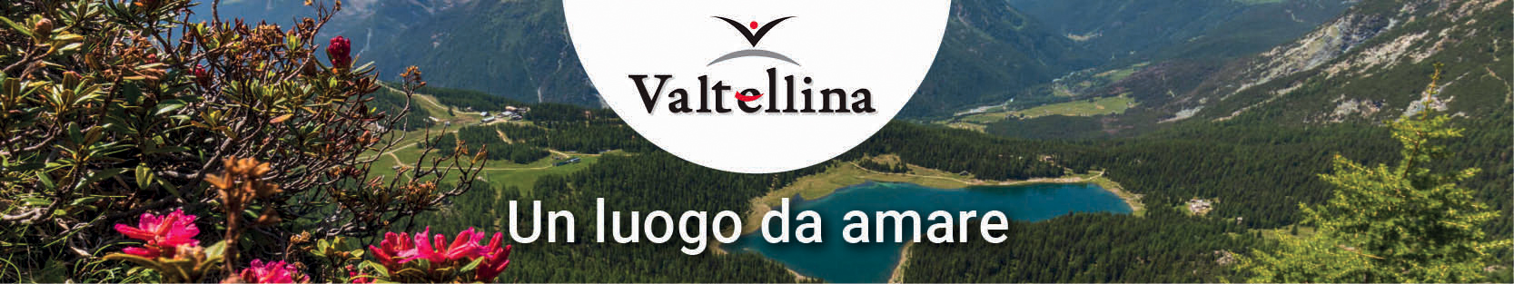 https://www.valtellina.it